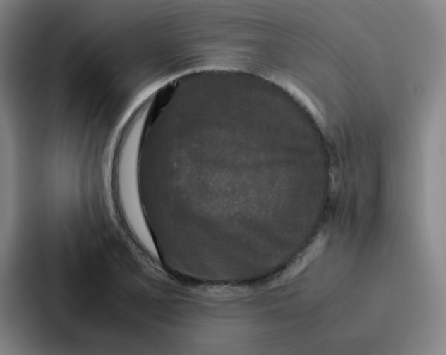 X0000086921077200705141718