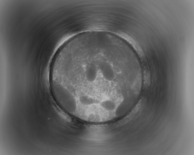 X0000086921078200705141718