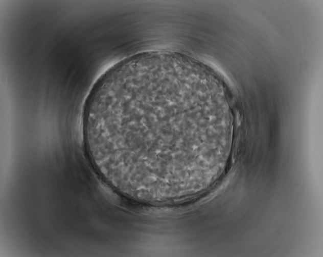 X0000086921079200705141717