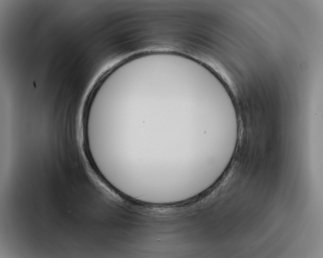 X0000086921080200705141717