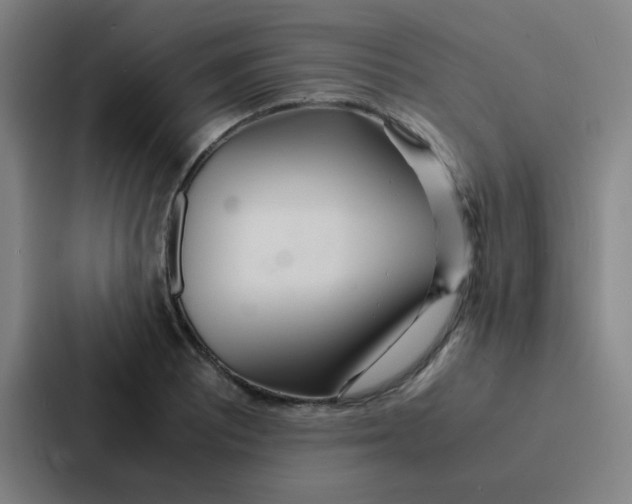 X0000086921081200705141717