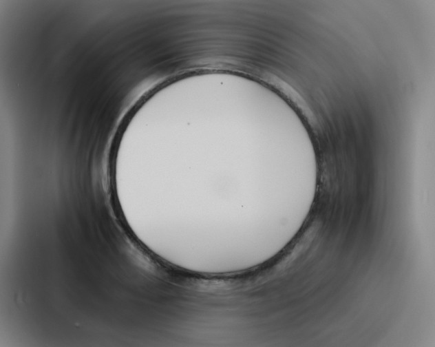 X0000086921082200705141717