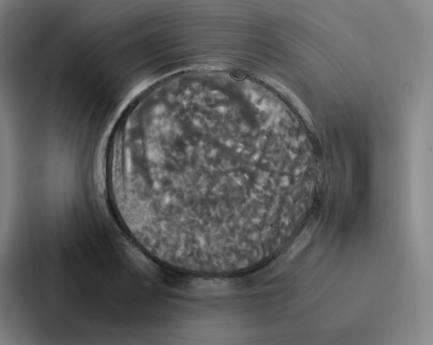 X0000086921083200705141717