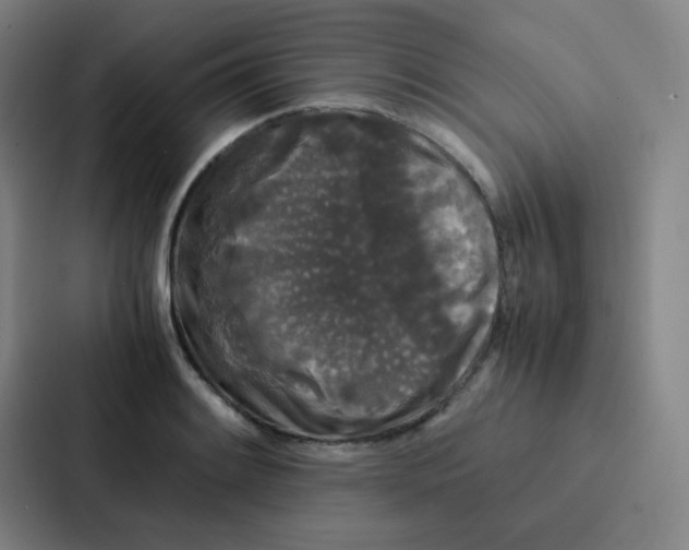 X0000086921084200705141717