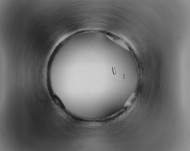 X0000086921085200705141717