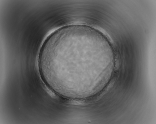 X0000086921086200705141717