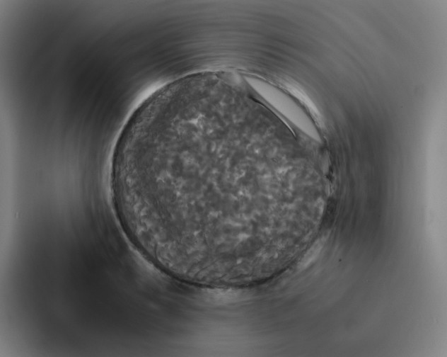 X0000086921087200705141717