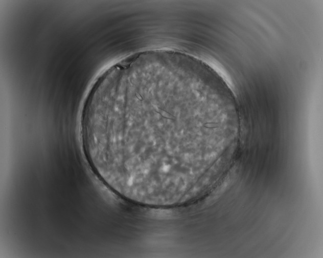 X0000086921088200705141717