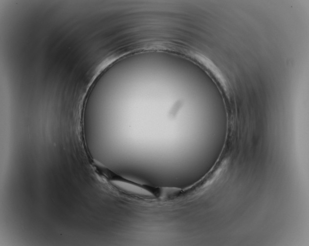 X0000086921089200705141717