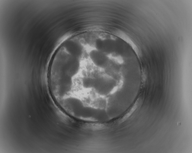 X0000086921090200705141717