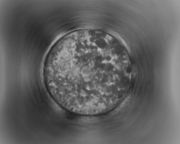 X0000086921091200705141717