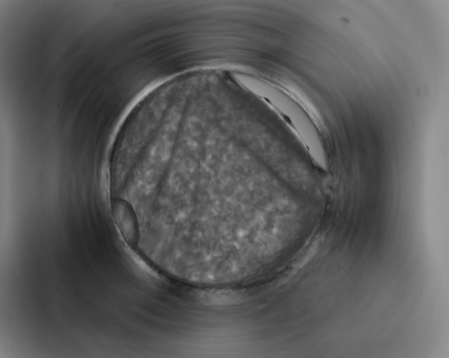 X0000086921092200705141717