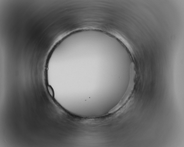 X0000086921093200705141717