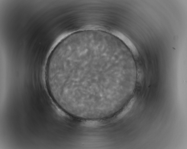 X0000086921094200705141717