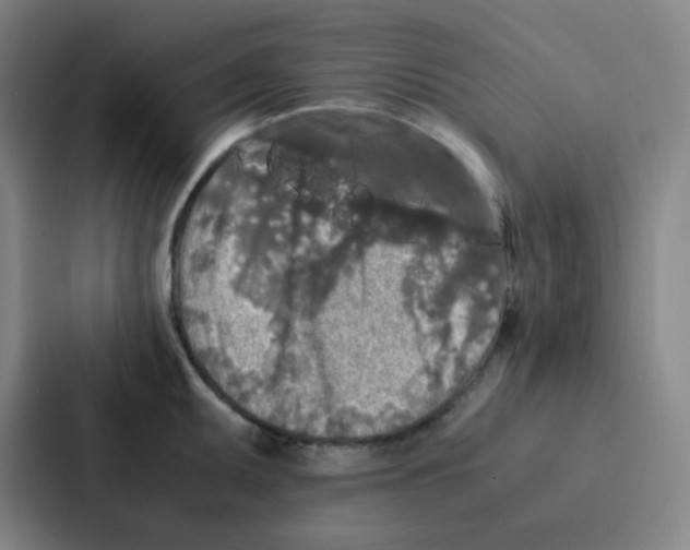 X0000086921095200705141717