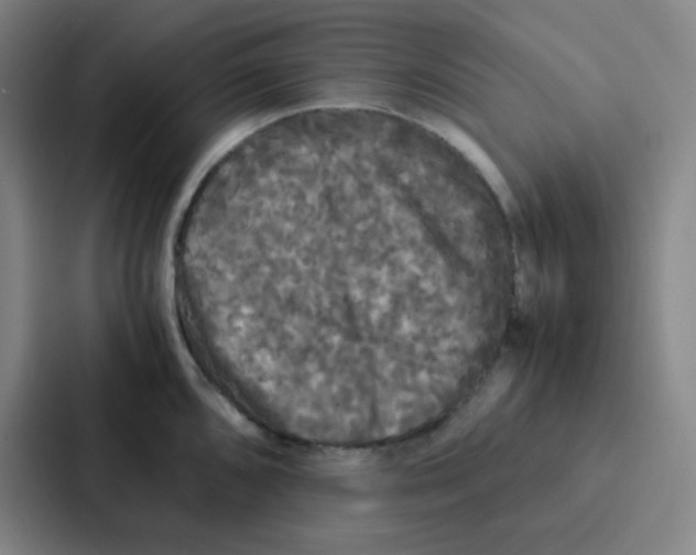 X0000086921096200705141717
