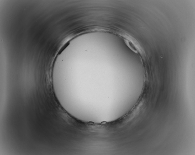 X0000086921097200705141717