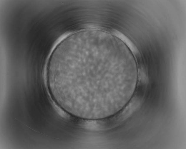 X0000086921098200705141717