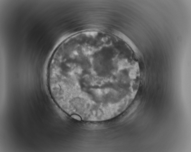 X0000086921099200705141717