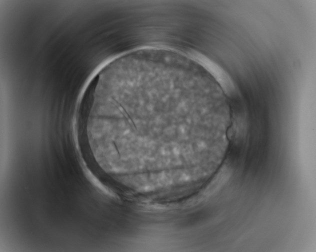 X0000086921100200705141717