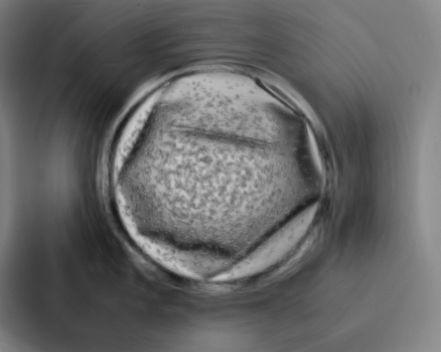 X0000086921101200705141717