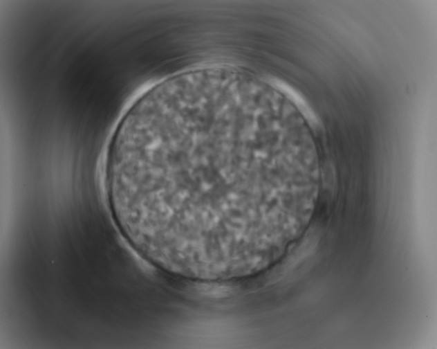 X0000086921103200705141717