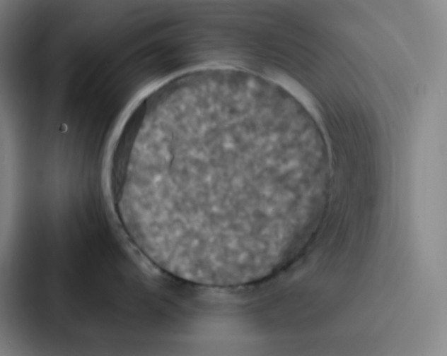 X0000086921104200705141717