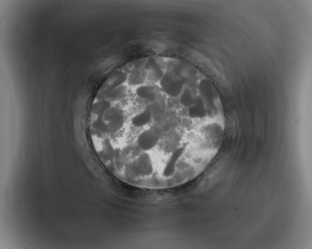 X0000086921105200705141717
