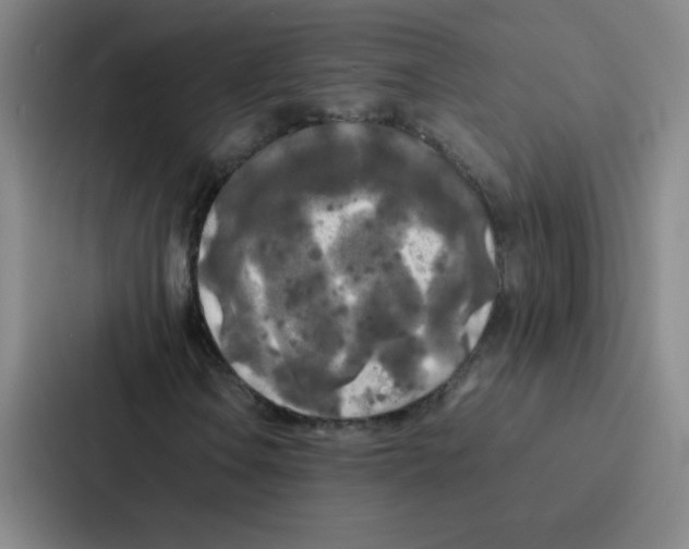 X0000086921106200705141717