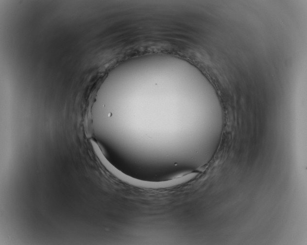 X0000086921109200705141717