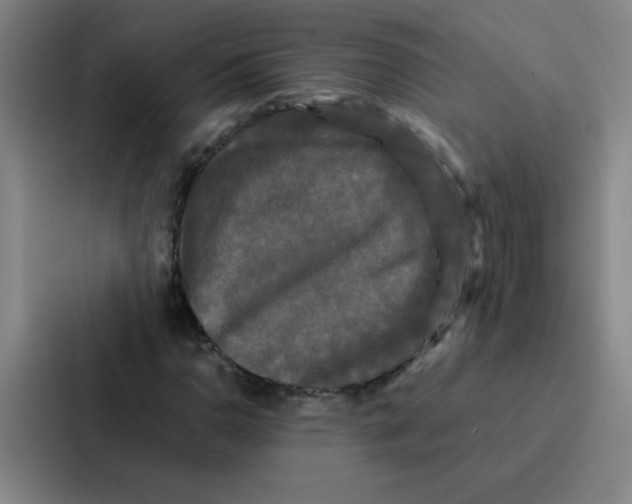 X0000086921110200705141717
