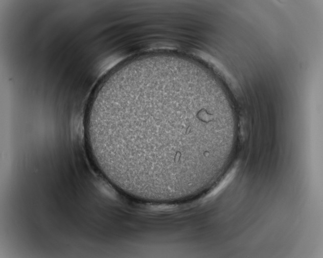 X0000086921113200705141717