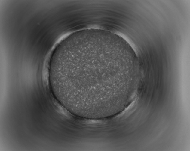 X0000086921115200705141717