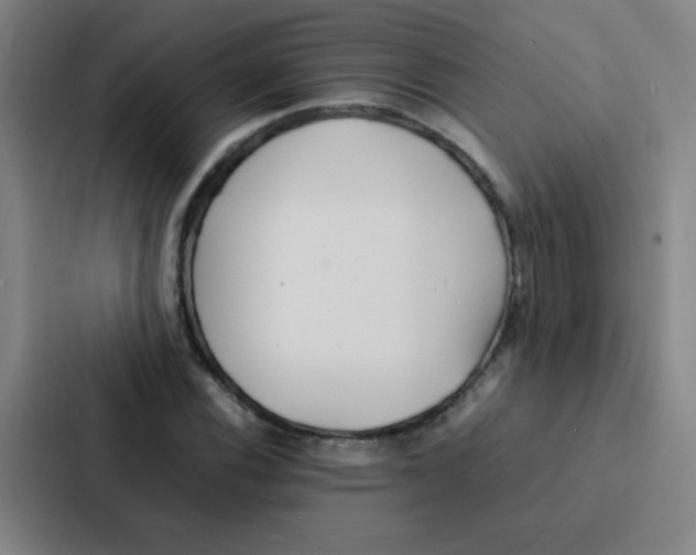 X0000086921116200705141717