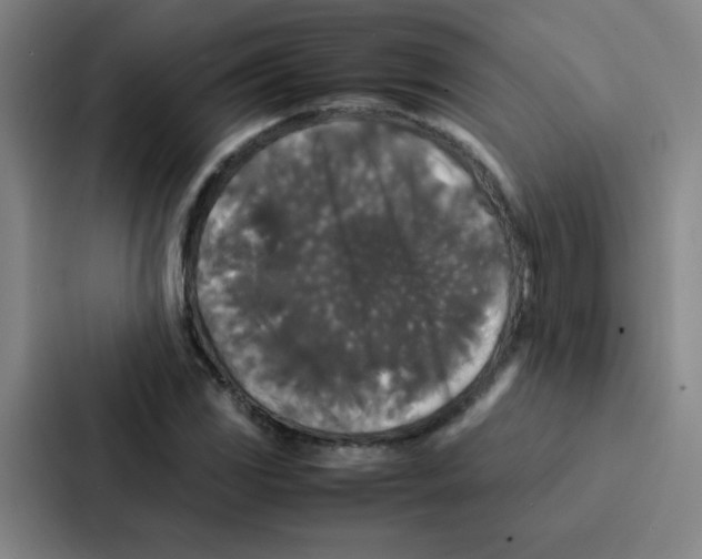 X0000086921117200705141717