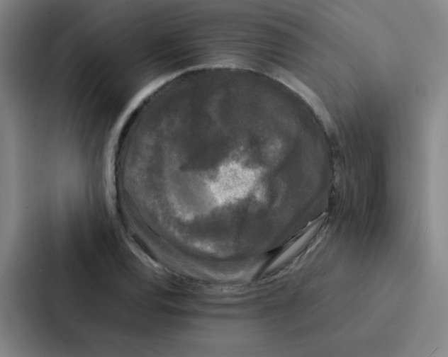 X0000086921120200705141717