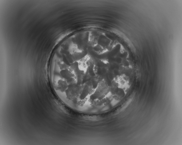 X0000086921121200705141717