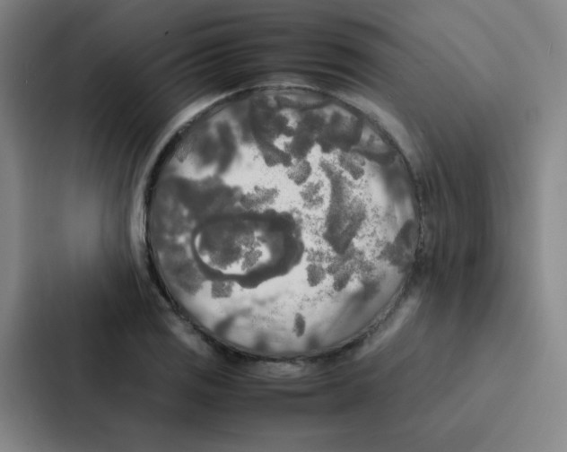 X0000086921125200705141717