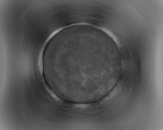 X0000086921127200705141717