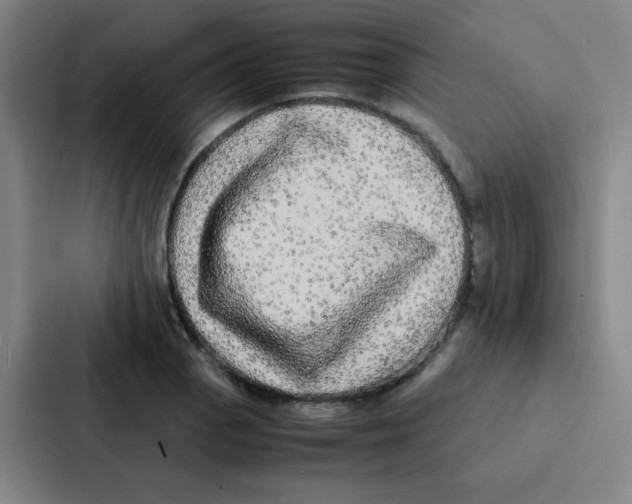 X0000086921129200705141717