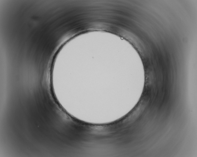 X0000086921130200705141717