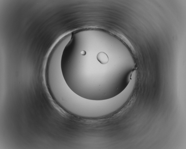 X0000086921132200705141717