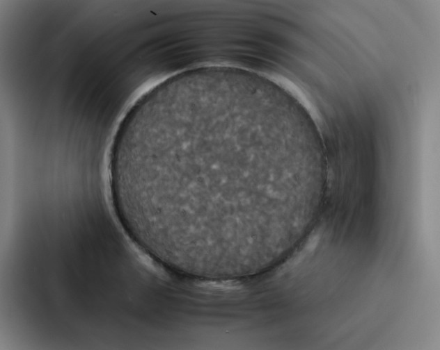 X0000086921133200705141717
