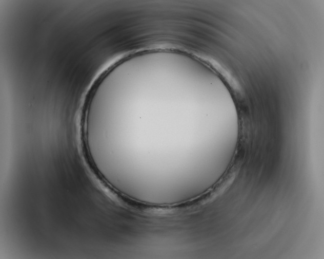 X0000086921134200705141717
