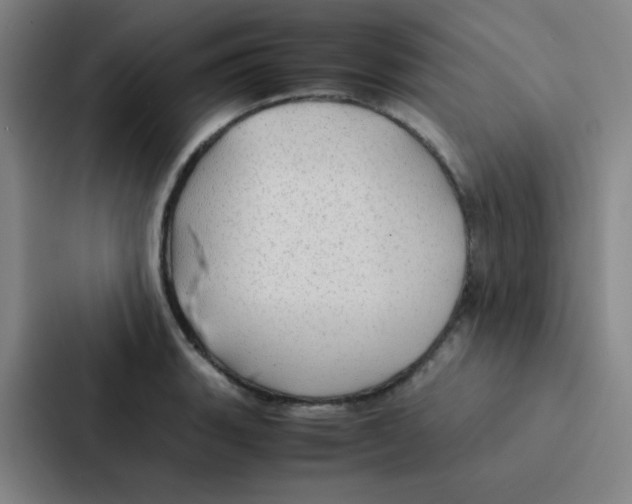 X0000086921135200705141717