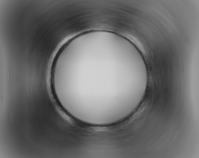 X0000086921136200705141717
