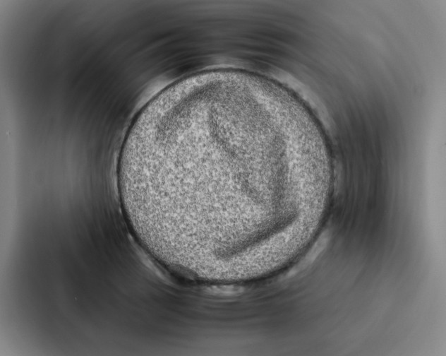 X0000086921137200705141717