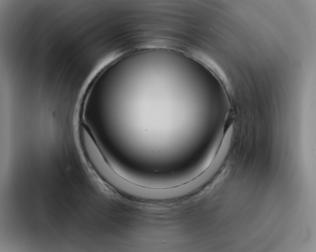 X0000086921138200705141717