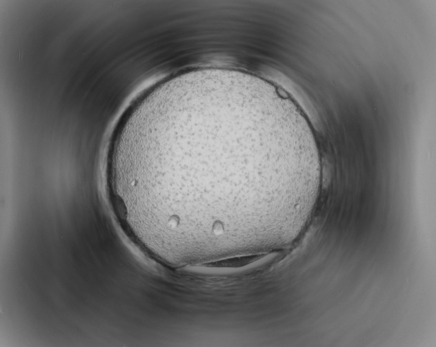 X0000086921139200705141717