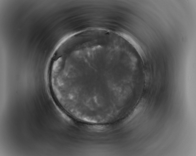 X0000086921141200705141717